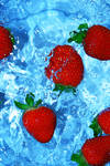Buy Multivitamin